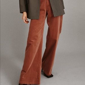 brand New Velvet pants